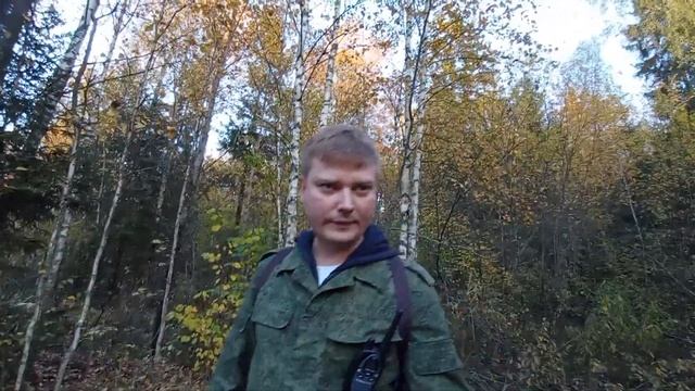 В поисках грибов - Осень 2022