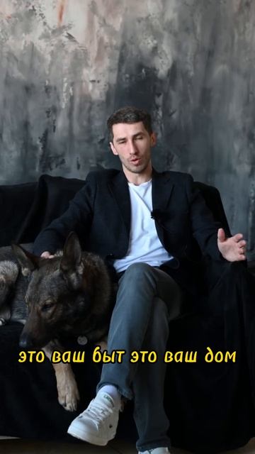 Можно ли пускать собаку на кровать? смотреть онлайн