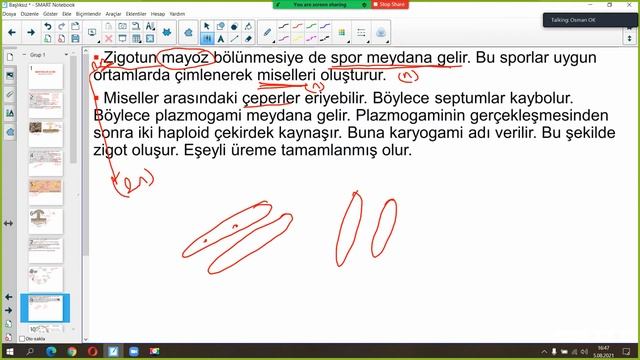 Canlıların Sınıflandırılması - Mantarlar Alemi смотреть онлайн