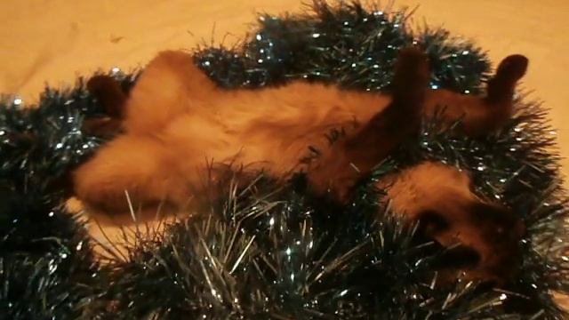 Сима и Новый год смотреть онлайн