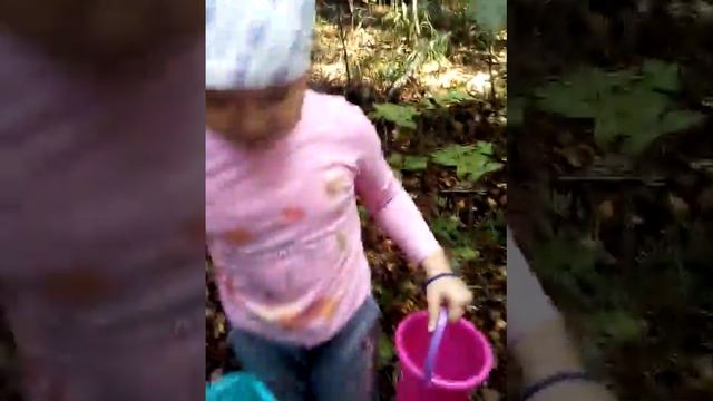 Красивый мухомор