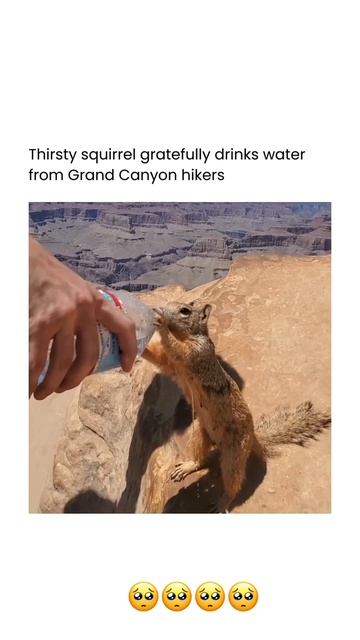 They knew that was prvnci and had to share that water u feel me смотреть онлайн