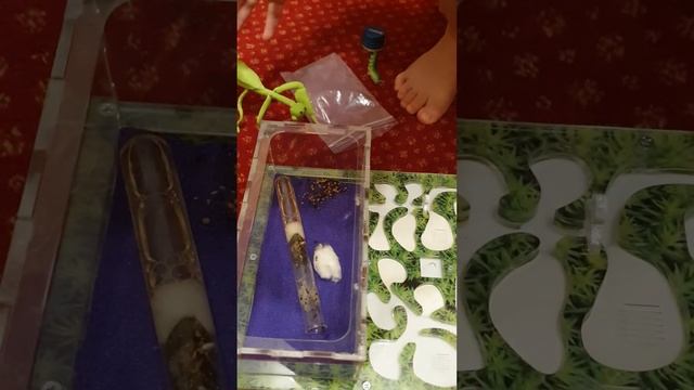 🐜🐜🐜🐜🐜🐜🐜🐜 смотреть онлайн