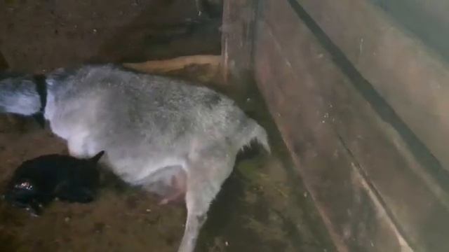 Опять трое. Кто больше? смотреть онлайн