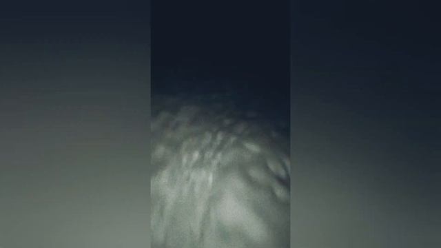 Заблудился Малой Евген БРО-БРАТ в трёх соснах