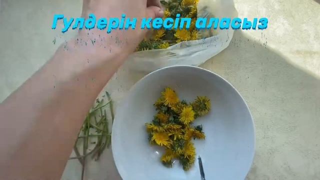 Буын ауруларын емдеу! Тізе, мойын ауырса емі! Астеохондроз болса смотреть онлайн