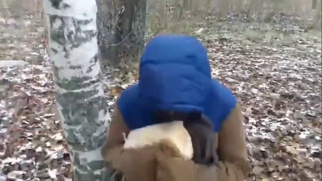 КОНТАКТ ЙЕТИ С ЧЕЛОВЕКОМ! смотреть онлайн