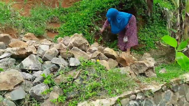 Nemu Jamur Seperti Nemu Harta Karun ...| Nyi Iteung Vlog