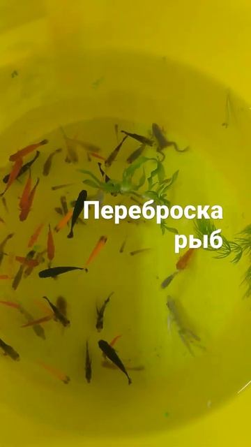 22 ноября 2021 г. смотреть онлайн