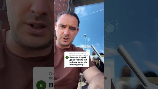 Как Самостоятельно почистить запах от собаки дома смотреть онлайн