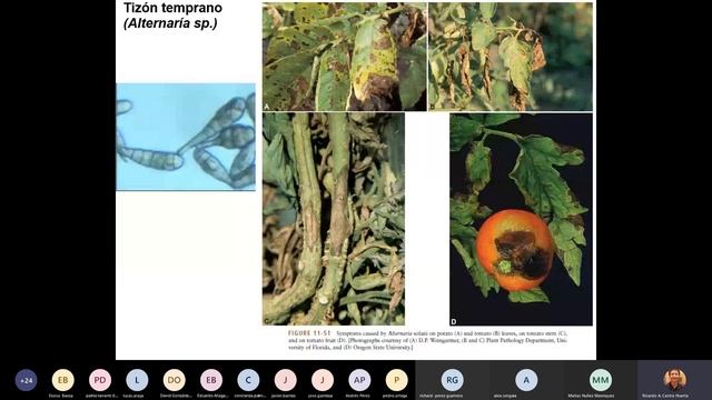 Clase1 Hongos PySV II 2020 Parte2