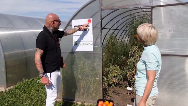 Народные томаты в крупнейшей больнице восточной Европы смотреть онлайн