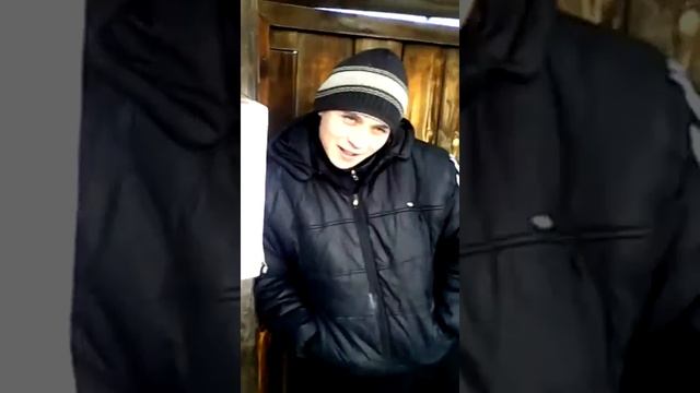 фейсер под грибами