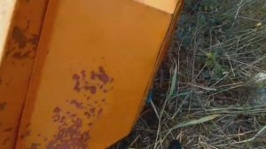 Кукурузная жатка КМД-6 экспресс-обзор от Константина Сорокина