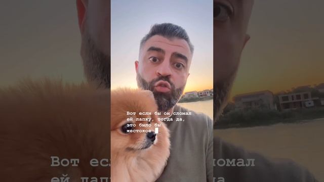 Если вы любите собак и хотите общаться с единомышленниками, подпишытесь на наш канал. 🙏 смотреть онлайн