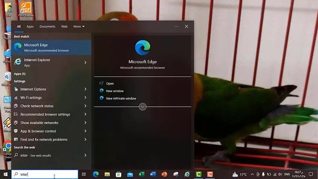 فتح متصفح انترنت اكسبلورر دون التحويل علي مايكروسوفت ايدج смотреть онлайн