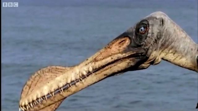 Animal of the Week - Pterosaurs смотреть онлайн
