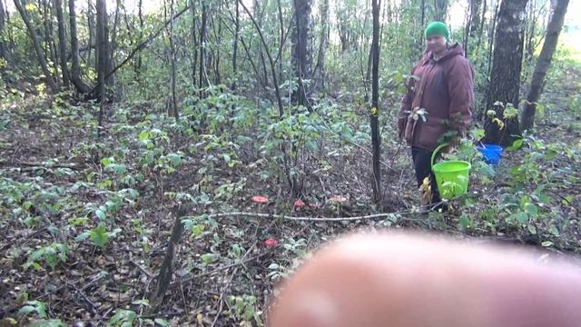 Ирина в грибах