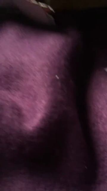 Kz Scat shymkent смотреть онлайн