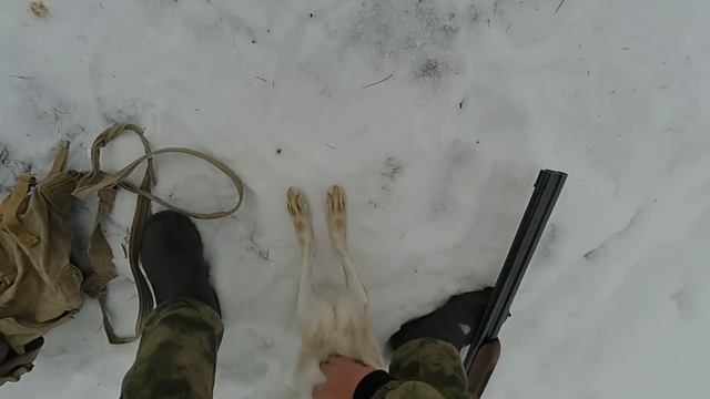 Охота на зайца Далеко или близко, что лучше ? смотреть онлайн