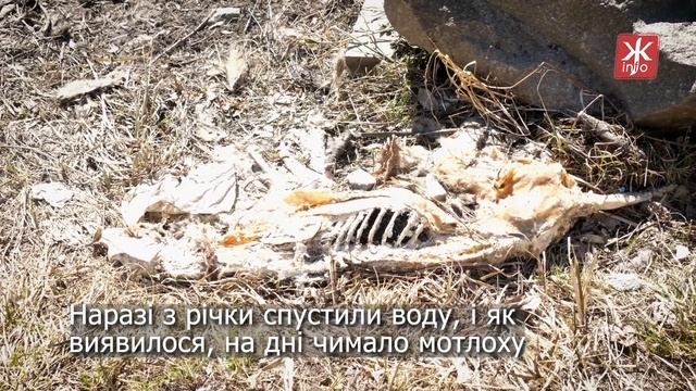 Сміттєбаки, шини та іграшки – який вигляд має річка Тетерів з якої спустили воду - Житомир.info смотреть онлайн