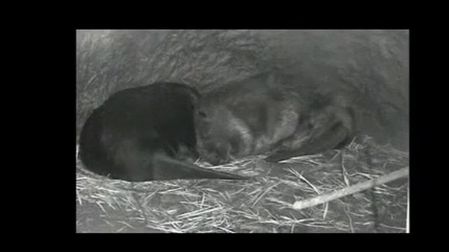 video840 смотреть онлайн