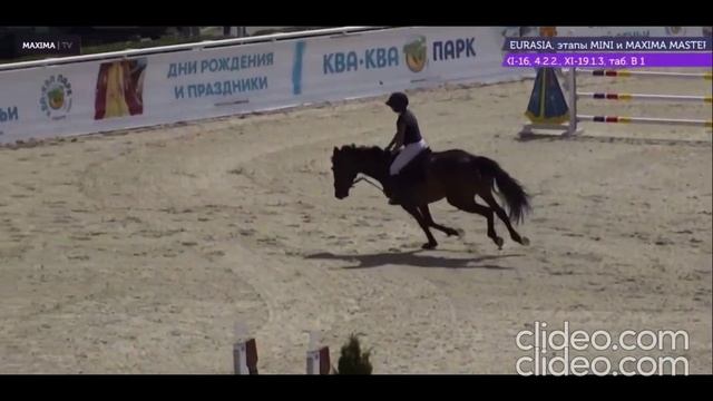 Конкурная кобыла. Арт.: 0246 смотреть онлайн