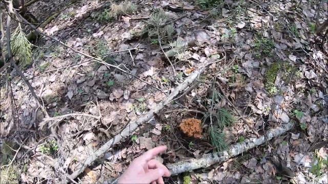 ОХОТА в режиме САМОизоляции 2020. смотреть онлайн