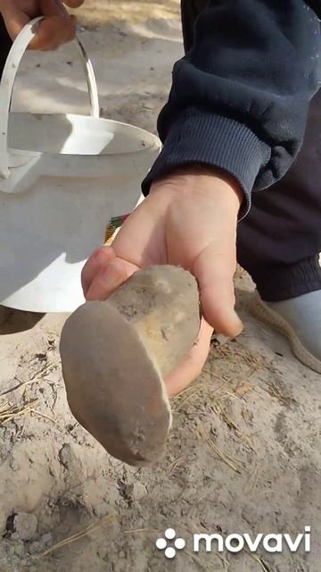 Белый Гриб!!!))) Невероятное место жительства!!!)))