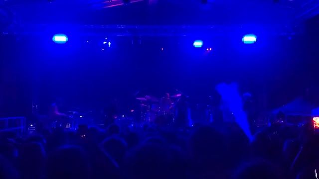 the voidz - business dog (live in Bologna) смотреть онлайн