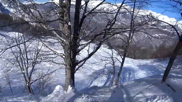 Сочи фрирайд смотреть онлайн