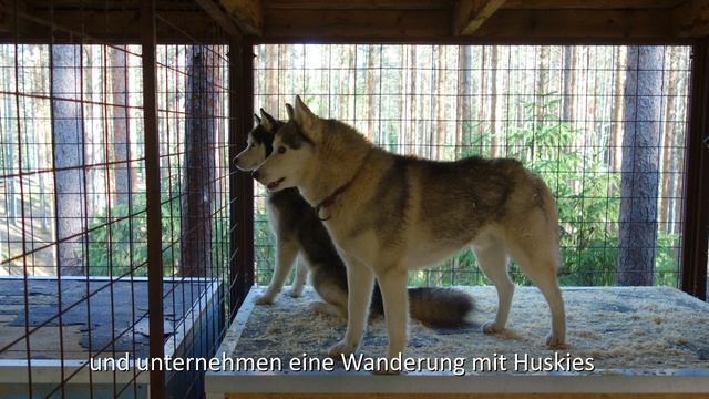 Wanderreise Rundreise Durch Karelien Mit WM AKTIV REISEN