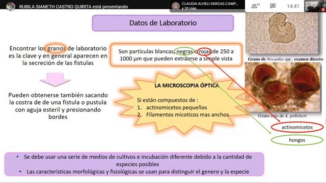 micosis profundas o sistemicas 1/2 смотреть онлайн