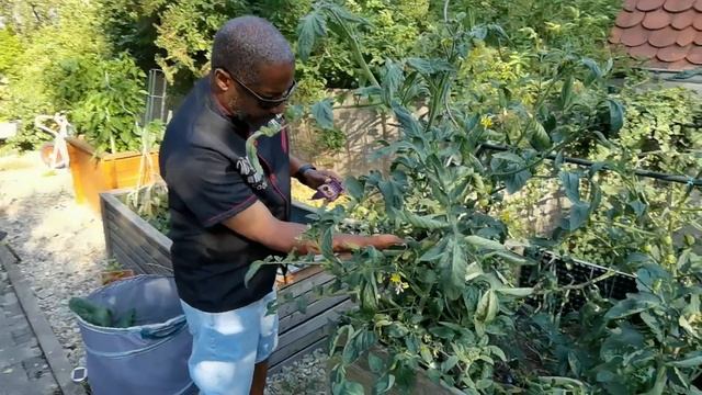 Worldfamousfoodz 2022 DIY Gardening смотреть онлайн