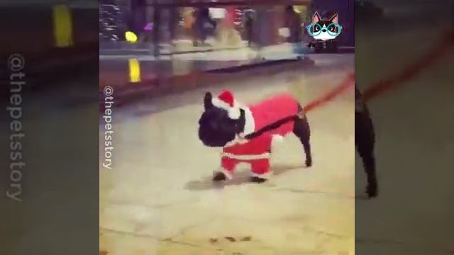 Mi segudo video смотреть онлайн