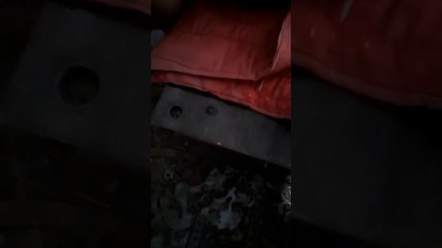 Страшный вирус в нашем посёлке, опасаемся морковки и сыра дружбы. Просим быть бдительными!!!🧪 смотреть онлайн