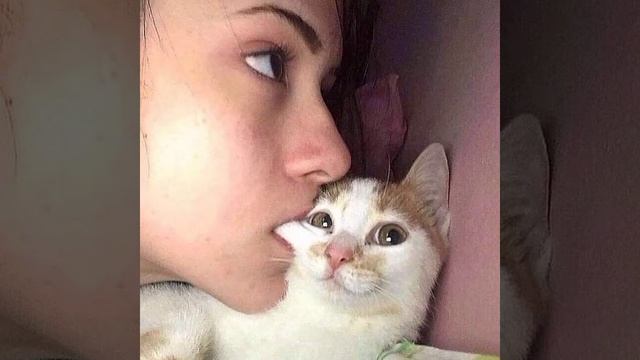 Kero Kero Bonito - Flamingo (Ringtone) смотреть онлайн