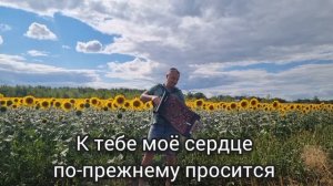 Деревня моя под гармонь. Караоке.