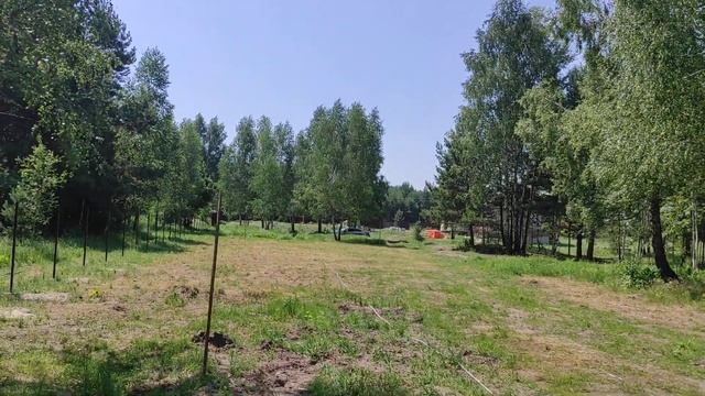 Лысый лесник-колхозник. Жара +34. Слепни. Огород. смотреть онлайн