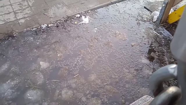 я и лужа смотреть онлайн