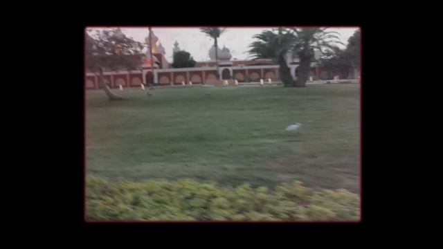 Media Fan - Loving A Datted (video)