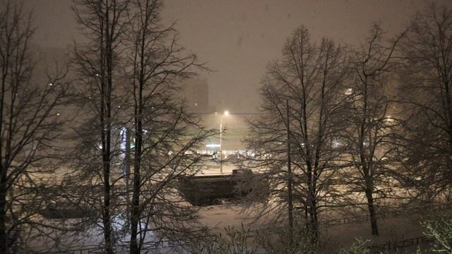 Ночная метель, вид с балкона. Ночь со 2 на 3 февраля 2025 г.