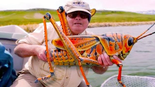 5 Scary Times Nature Made Us Say NOPE! смотреть онлайн