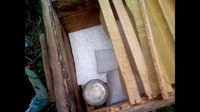 Почему матка в нуклеусе не сеет? смотреть онлайн