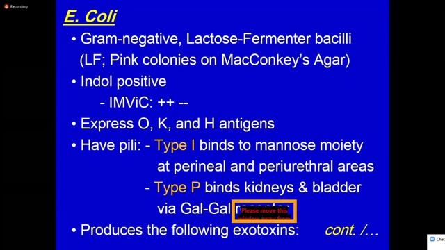 Lec. 1 | Microbiology ( Dr. Zainalabideen ) | Urinary Tract Infections ( UTI ) смотреть онлайн