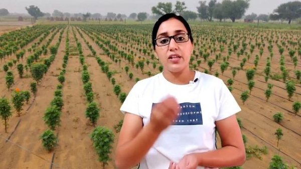 🐛🐝Neem oil spray for plants |🦟🪰 Neem oil for plants | Neem oil ka spray kaise kare | Neem oil