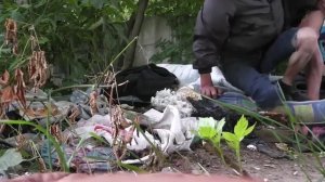 Главное подняться - пророк Санбой