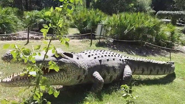 крым.НБС. динопарк.Дейнозух. смотреть онлайн