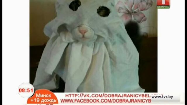 Итоги фотомарафона смотреть онлайн