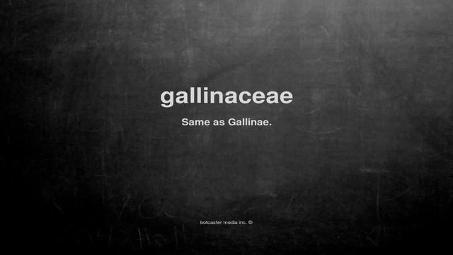 What does gallinaceae mean смотреть онлайн